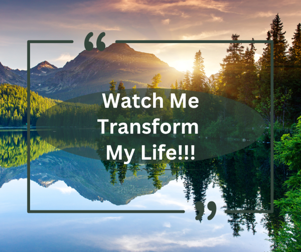 Watch me transform my life; trees, water sunset